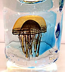 Jellyfish Glass Sculpture